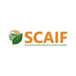 Scaif Naija's icon