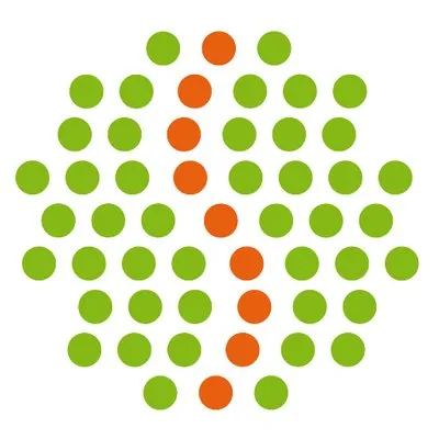 scanbrains.com's icon