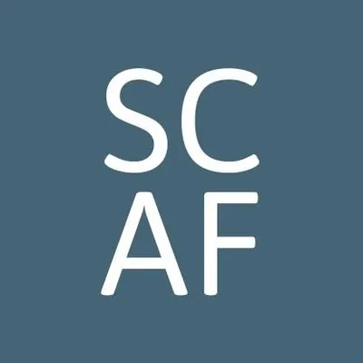 scartsfoundation.com's icon