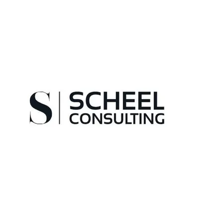 scheel.consulting's icon