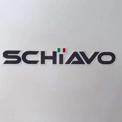 schiavolift.com's icon