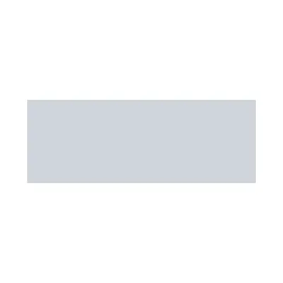 Scholars Intel's brand icon