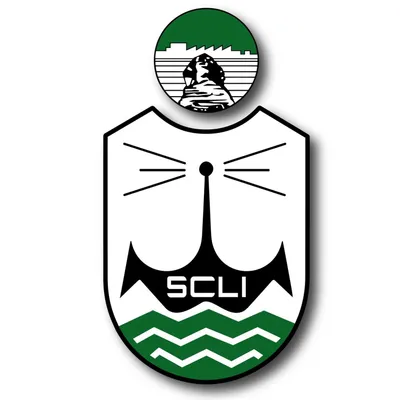 scli-egypt.com's icon