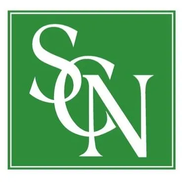 scnteam.com's icon