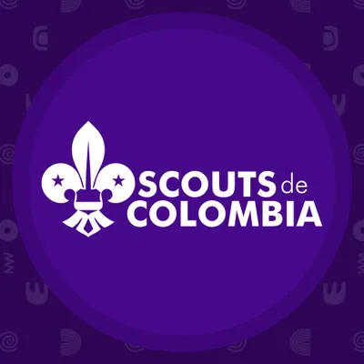 scout.org.co's icon