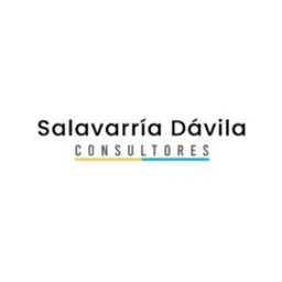 – SD Consultores's icon