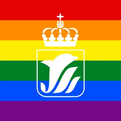 sdir.no's icon