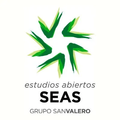 seas.es's icon