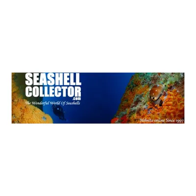 SEASHELL COLLECTORS's icon