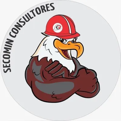 secomin.com's icon