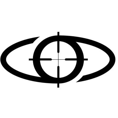 secondsight-ts.com's icon