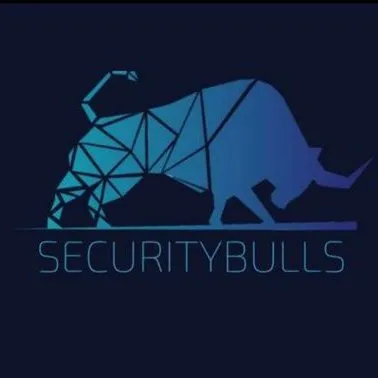 securitybulls.com's icon