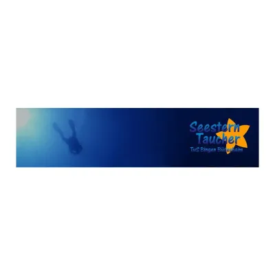 Seestern's brand icon