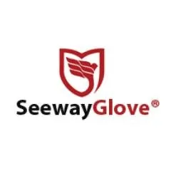 seeway.com's icon