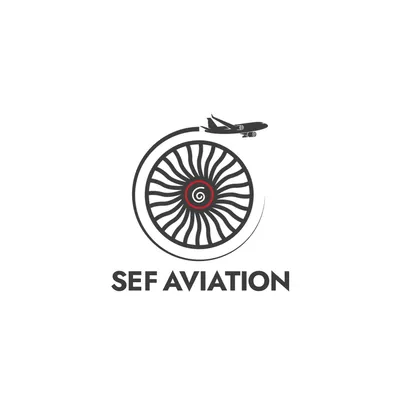 sefaviation.com's icon