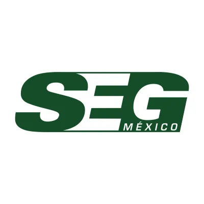 segmexico.com.mx's icon