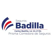 segurosbadillacr.com's icon