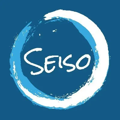 seisollc.com's icon