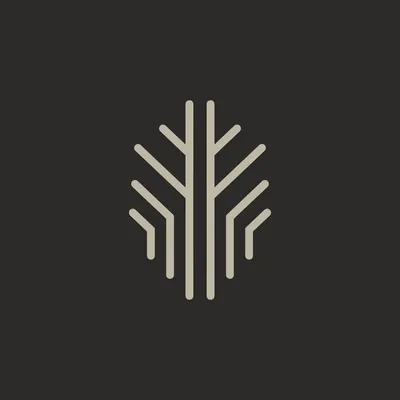 selectahome.com.mx's icon