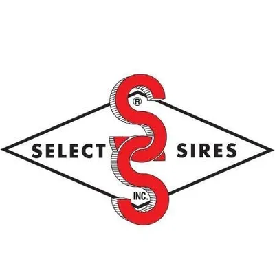 selectsires.com.br's icon