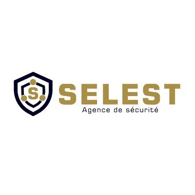 selestsecurity.com's icon