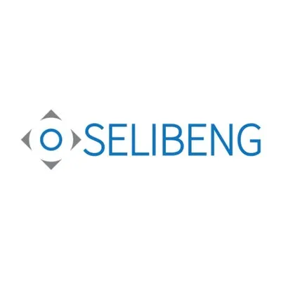 selibeng.com's icon