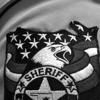 seminolecosheriff.com's icon