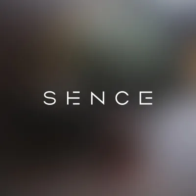 sencearchitects.com's icon