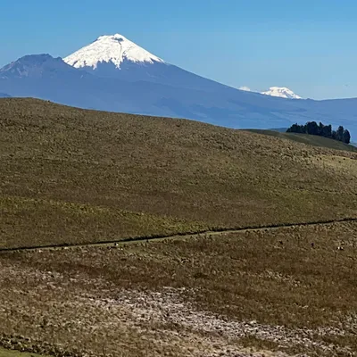 senderosnaturales.com's icon