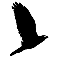 sendvelocity.net's icon