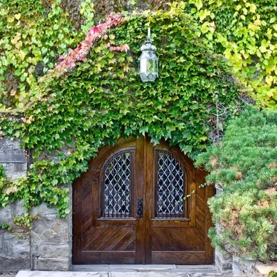 senecaharborwine.com's icon