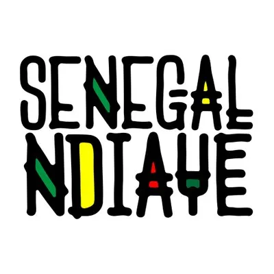 senegalndiaye.com's icon