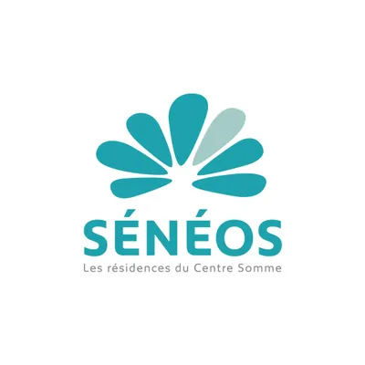 seneos.fr's icon
