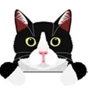 seniorcatwellness.com's icon