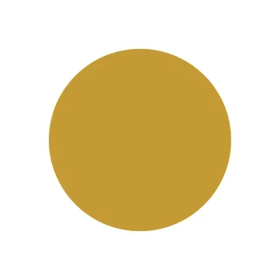 SeniorNest's brand icon