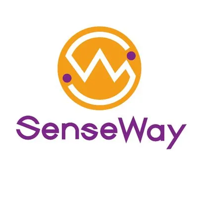 senseway.net's icon