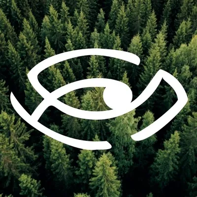 sensonaturale.com's icon