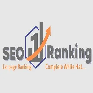 seo1ranking.com's icon
