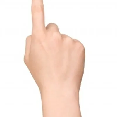 seosite.day's icon