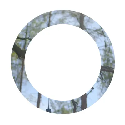 seoslight.com's icon