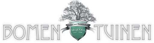 Sequoia