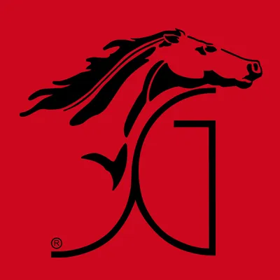 sergiograsso.it's icon