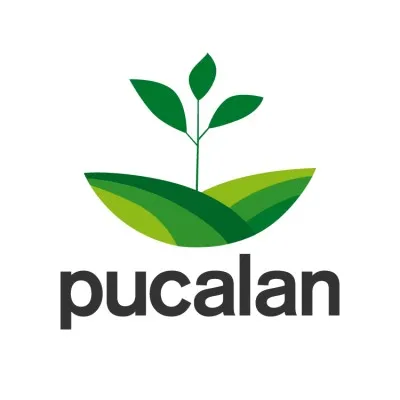 serviciospucalan.cl's icon