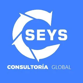 seysconsultoria.pe's icon