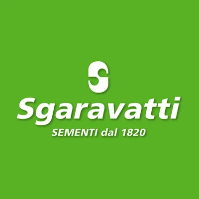 sgaravatti.net's icon