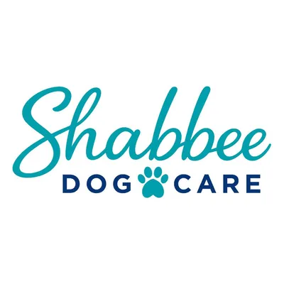 shabbee.com's icon