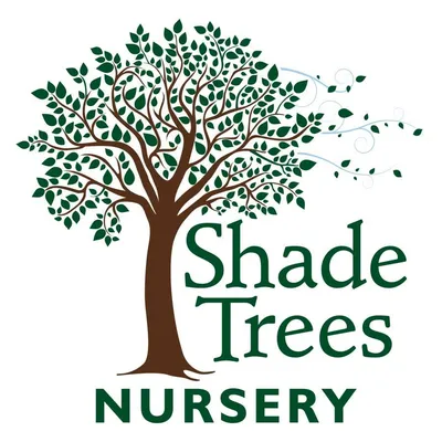 shadetreesnursery.com's icon