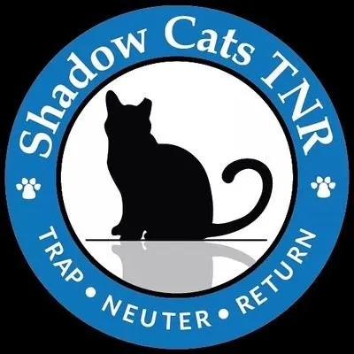 shadowcatstnr.org's icon