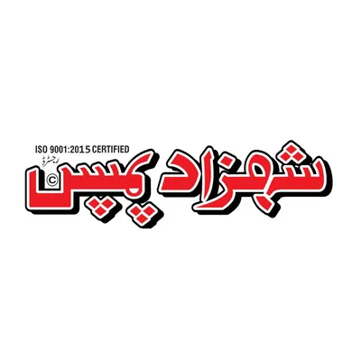 shahzadpumps.com's icon