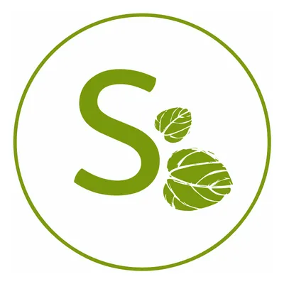 shanantina.com.pe's icon